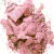 Sugar Plum - misty plum matte