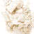 Freshwater Pearl - white pearl