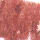 No. 708 Desert Rose