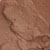 24 Hazelnut - Dark Warm Brown (Light)
