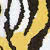 Tigress