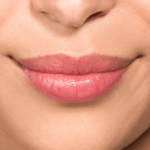 Tinted Lip Perfection Burt's Bees Tinted Lip Balm