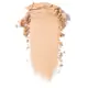 Clinique Almost Powder Makeup SPF 15 Fair
