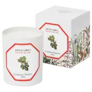 Carrière Frères Fig Tree Candle 185g by Carrière Frères