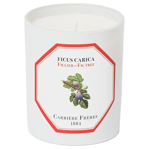 Carrière Frères Fig Tree Candle 185g