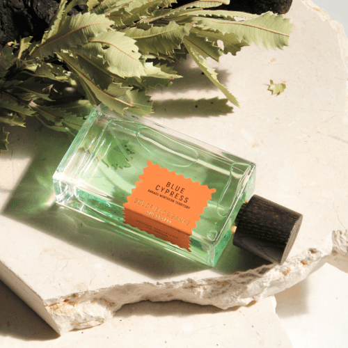Blue cypress online goldfield and banks