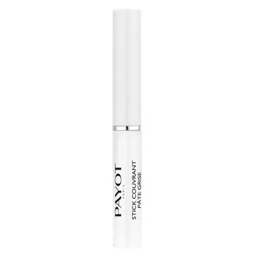 Payot Stick Couvrant Pate Grise Purifying Concealer