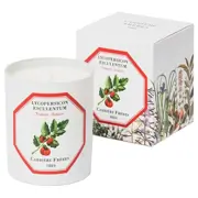 Carrière Frères Tomato Candle 185g by Carrière Frères