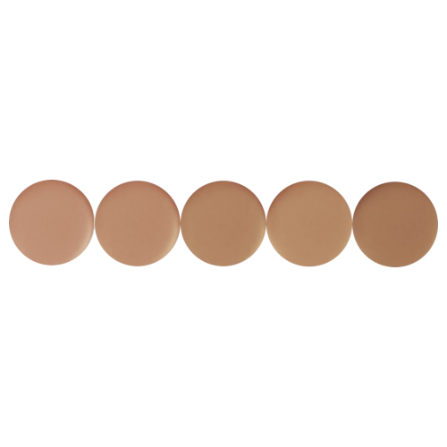 Cinema Secrets Ultimate Foundation 5-in-1 Pro Palette - 500B Series