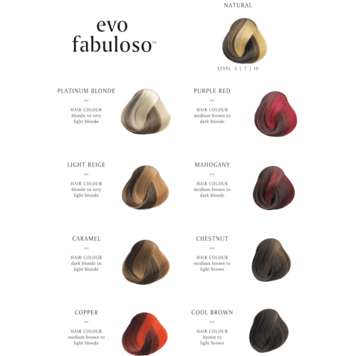 Evo Fabuloso Colour Chart