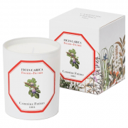 Carrière Frères Fig Tree Candle 185g