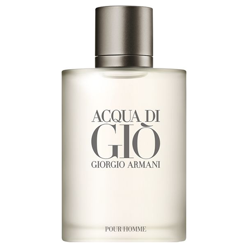 giorgio armani acqua di gio edt 100ml