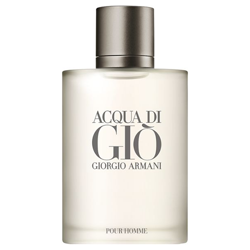 acqua di gio pour homme 100ml