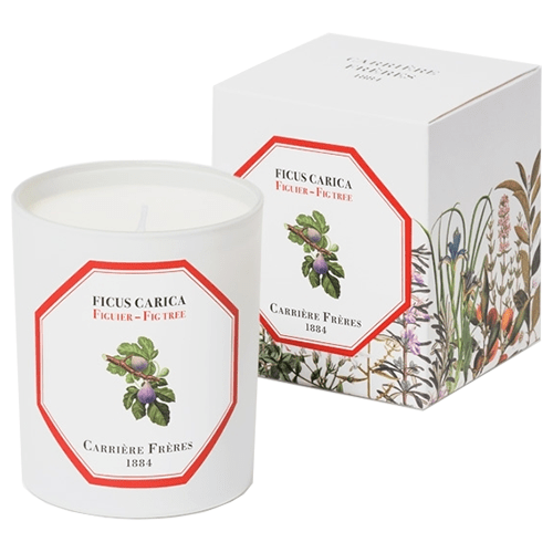Carrière Frères Fig Tree Candle 185g