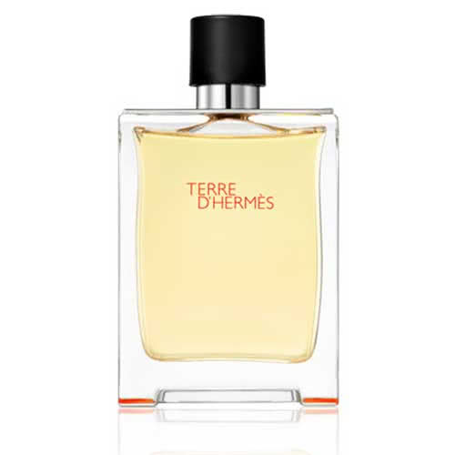 Hermès Terre Dhermès Eau De Toilette 200ml Free Post