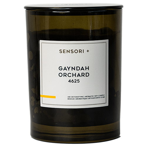 SENSORI+ Air Detoxifying Aromatic Soy Candle Gayndah Orchard 4625 260g by SENSORI+