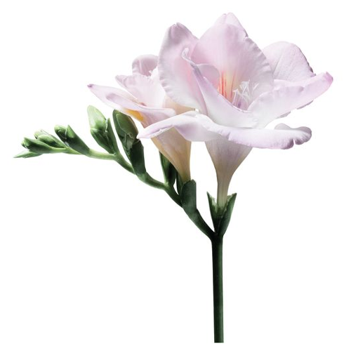 si eau de parfum 30ml