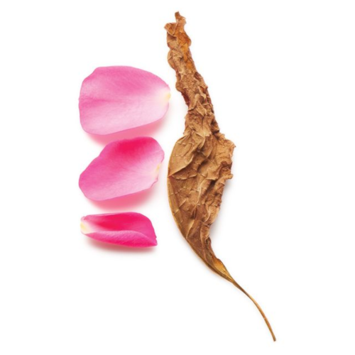 giorgio armani si intense 100ml