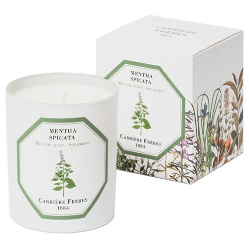Carrière Frères Spearmint Candle 185g