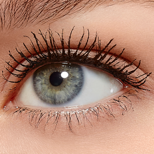 Bambi Eye Waterproof Mascara by L'Oreal #9