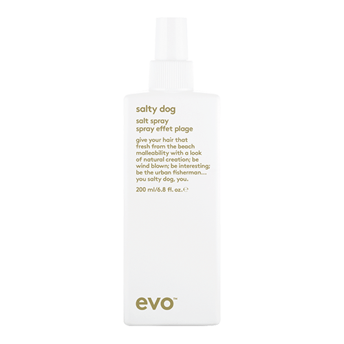 evo salty dog salt spray by evo
