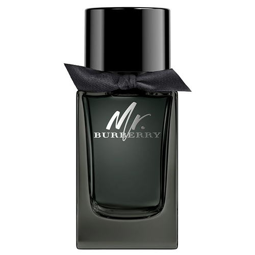 Burberry Mr. Burberry EDP 100 mL by Burberry