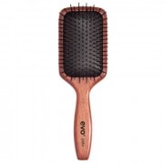 evo Pete Ionic Paddle Brush