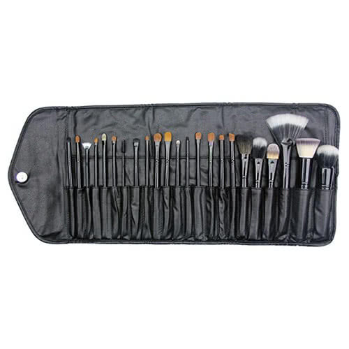 Crown Brush Professional Brush Set with Case
