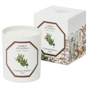 Carrière Frères Cedar Candle 185g