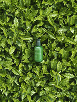 Innisfree_InLine_Sept2019