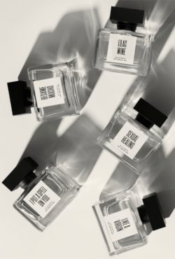 Art Meets Art inline