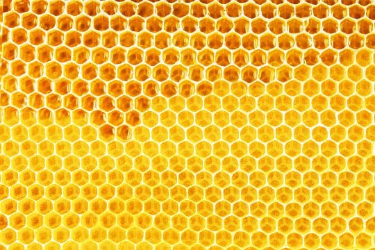 Is beeswax vegan?