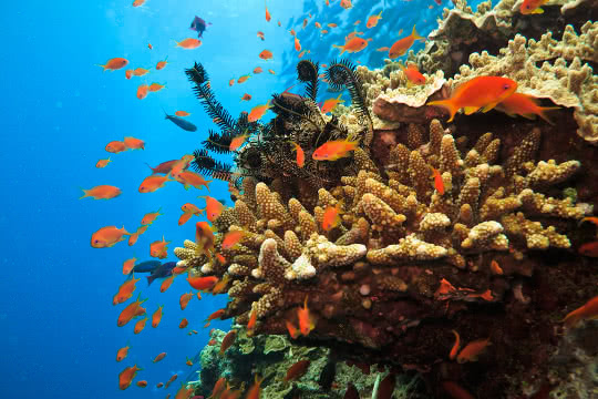Choosing non-microbead products for a healthy environment