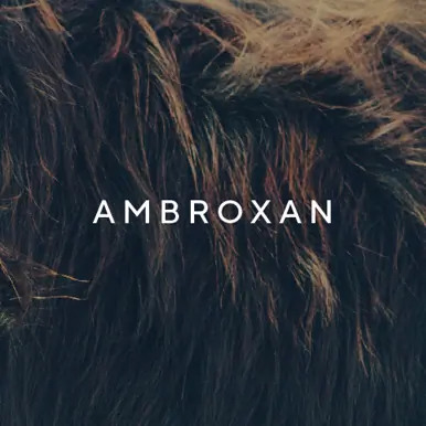 Juliette Has A Gun Not A Perfume Superdose  EDP 100ml