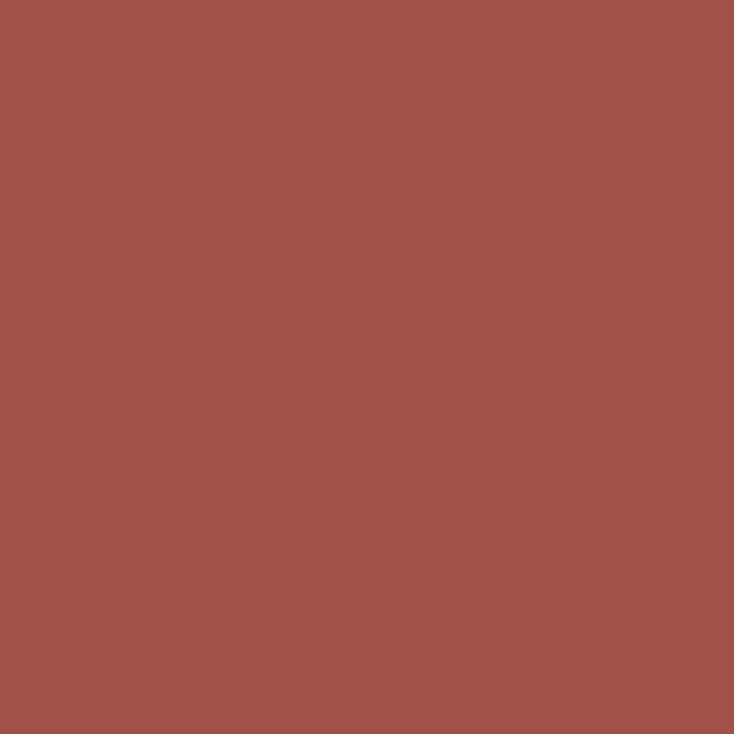 M.A.C Cosmetics Lip Pencil - Spice