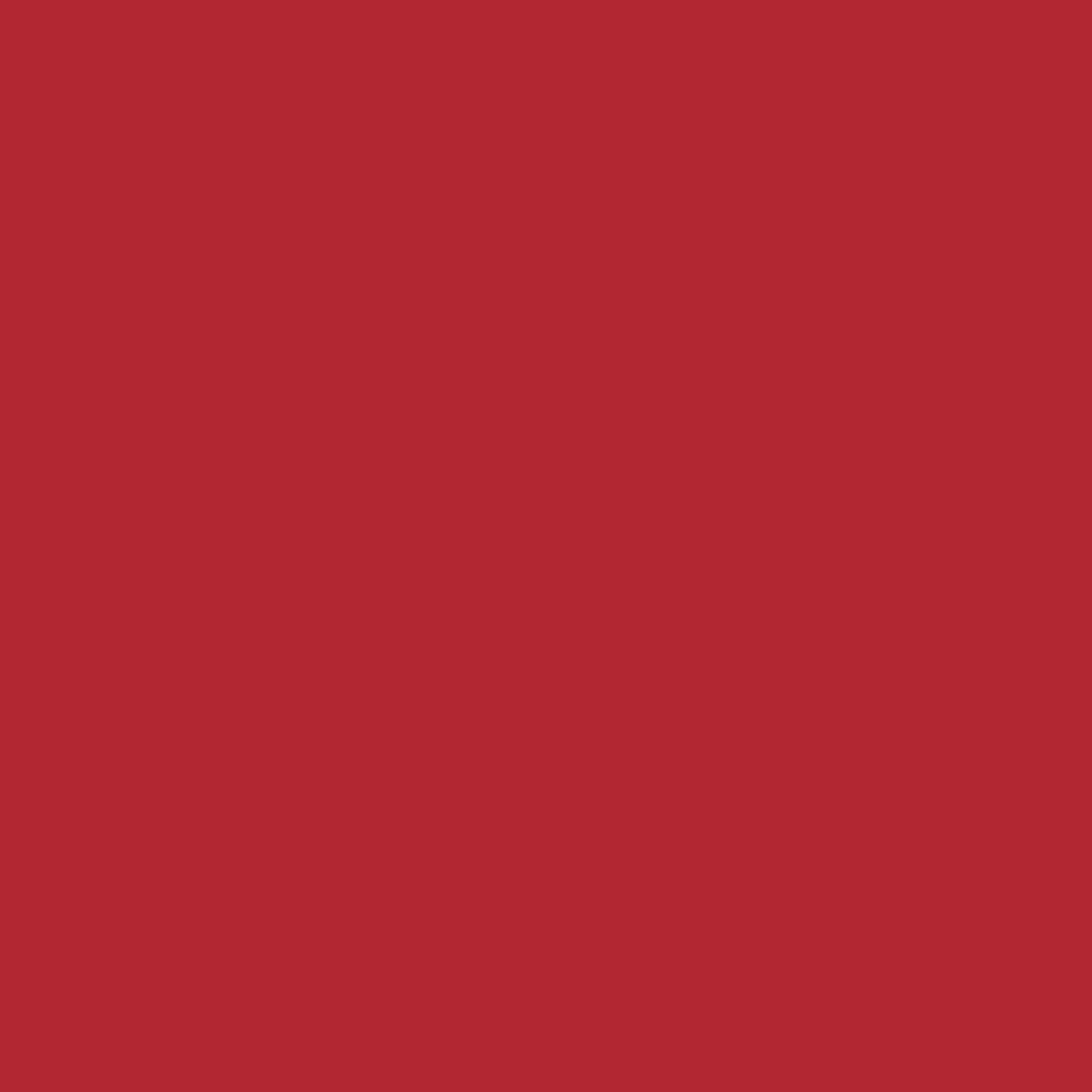 Ruby Woo -  Very matte vivid bluered