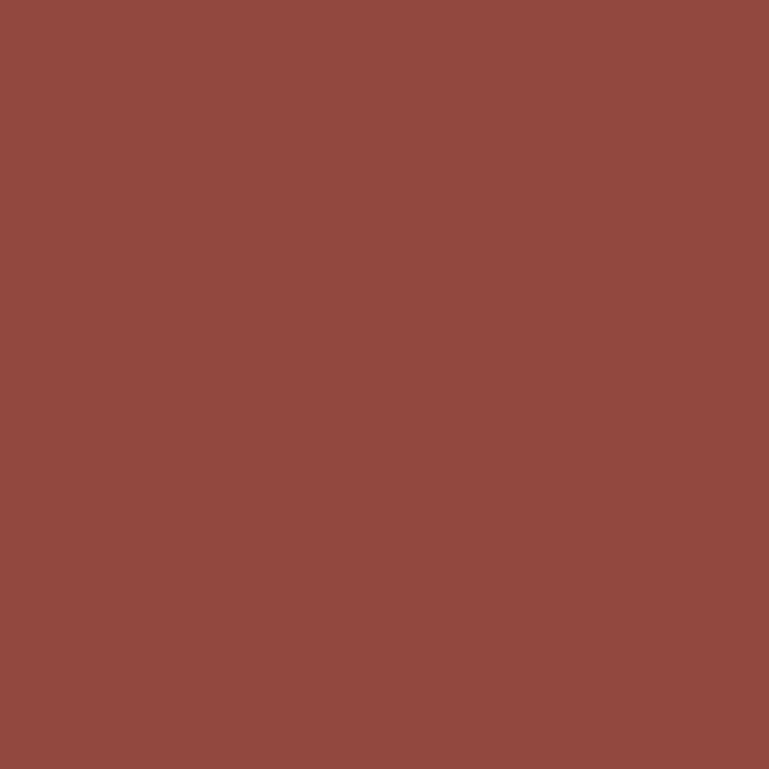M.A.C Cosmetics Lip Pencil- Chicory