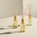 Glasshouse Fragrances WE MET IN SAIGON 250mL Fragrance Diffuser