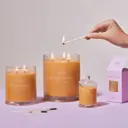 Glasshouse Fragrances A TAHAA AFFAIR 760g Soy Candle
