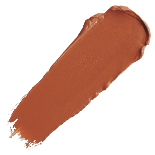 Flawless Coverage Napoleon Perdis The One Concealer