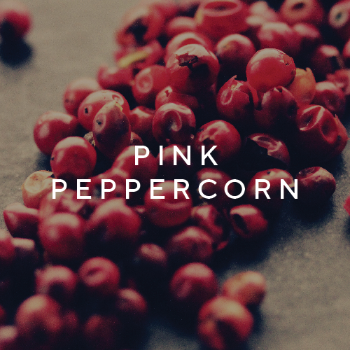 who is elijah HAZE EDP 50mL