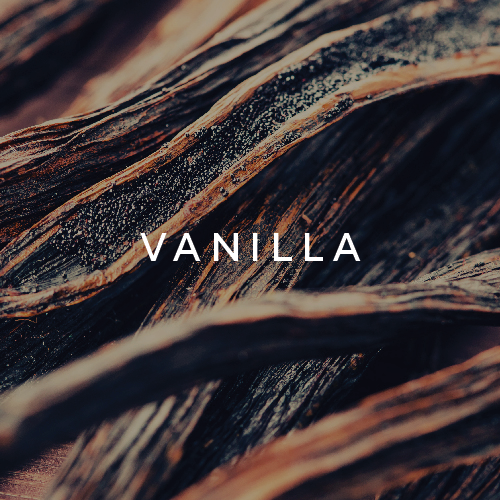 who is elijah HAZE EDP 50mL