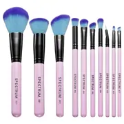 Spectrum Pink 10 Piece Set by Spectrum