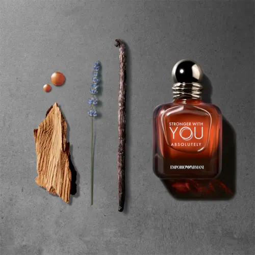 Giorgio Armani Emporio Armani Stronger With You Absolutely 100ml