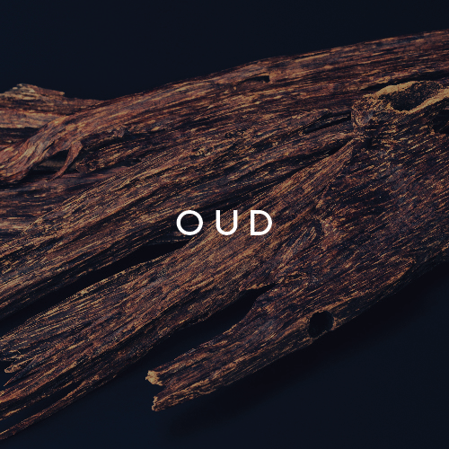 Goldfield & Banks SILKY WOODS Perfume 100ml