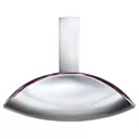 CALVIN KLEIN Euphoria Eau De Parfum Spray 100ml