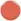 In A Flash Sale (Burnt Orange)