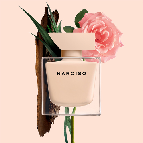 Narciso rodriguez perfume poudree 50ml store