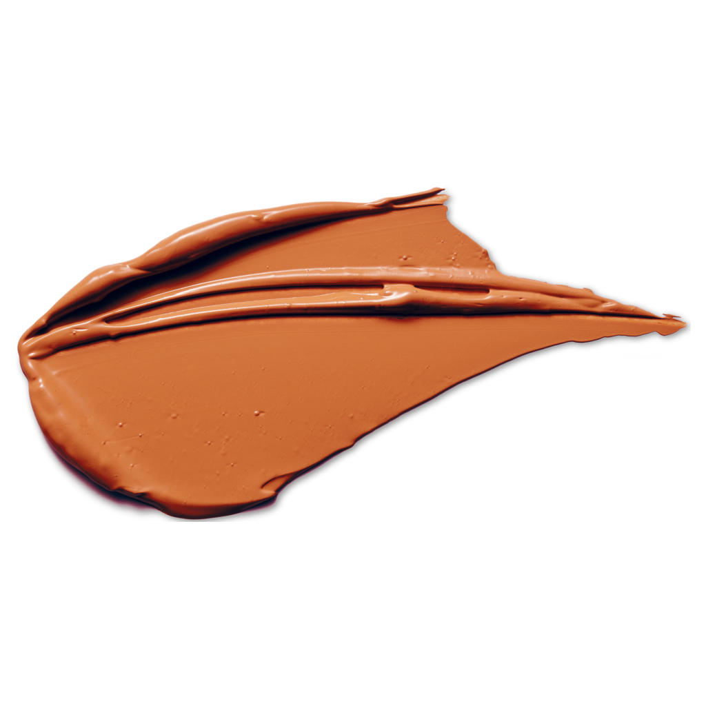 Napoleon Perdis Camera Finish Concealer - CPC27