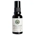 The Beauty Chef Well Spray Inner Beauty Support 30ml AU | Adore Beauty